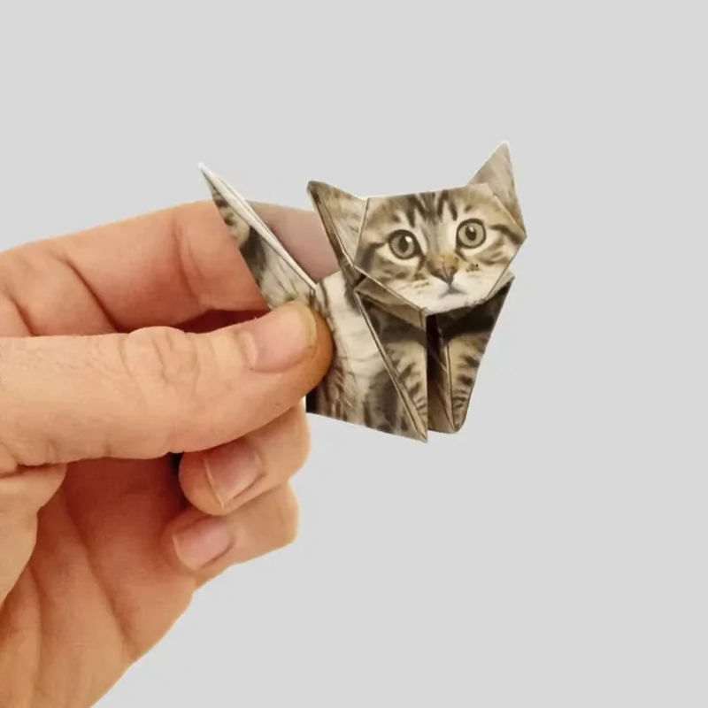 Creative DIY Paper Cats 50 She - Art Craft Dinosaurs ulasan dan harga