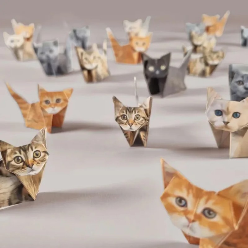 Creative DIY Paper Cats 50 She - Art Craft Dinosaurs ulasan dan harga