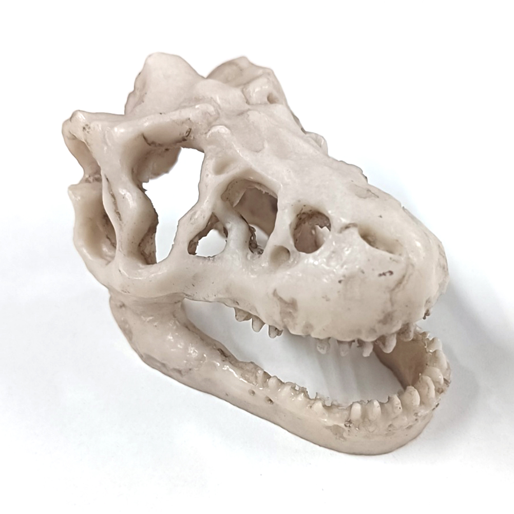 Resin Dinosaur Stone Statue De - Art Craft Dinosaurs ulasan dan harga